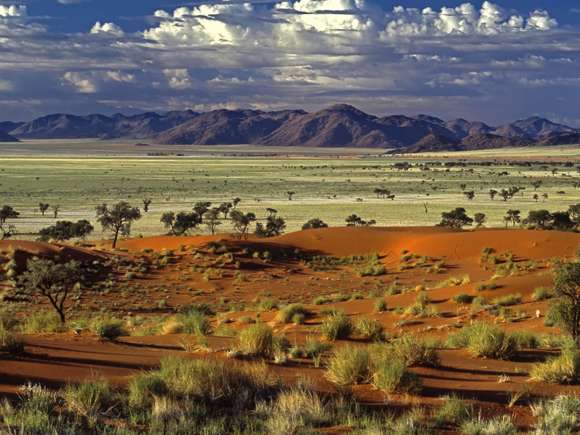 Африканская саванна