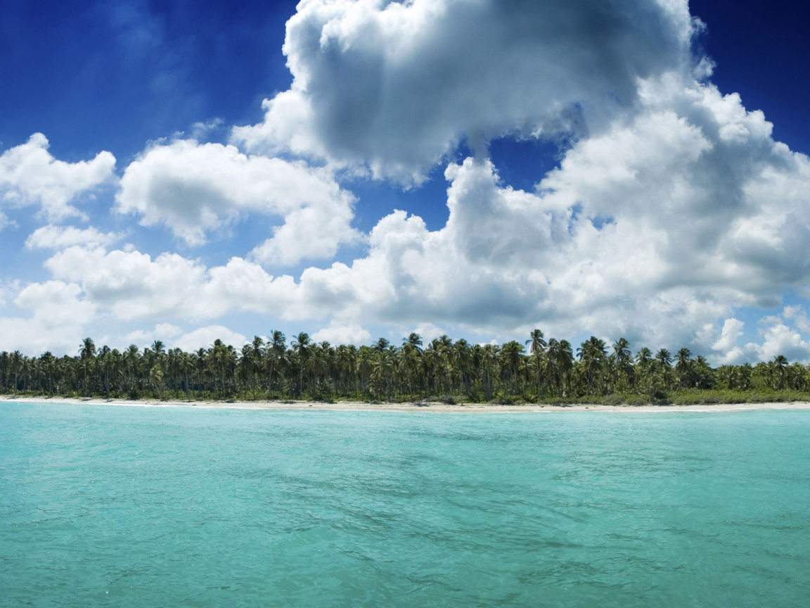 Гавайский берег