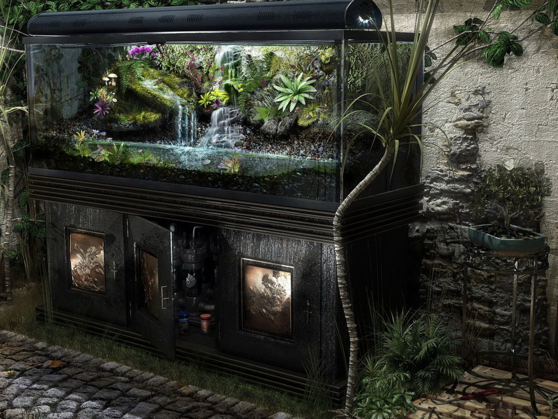 Домашние джунгли