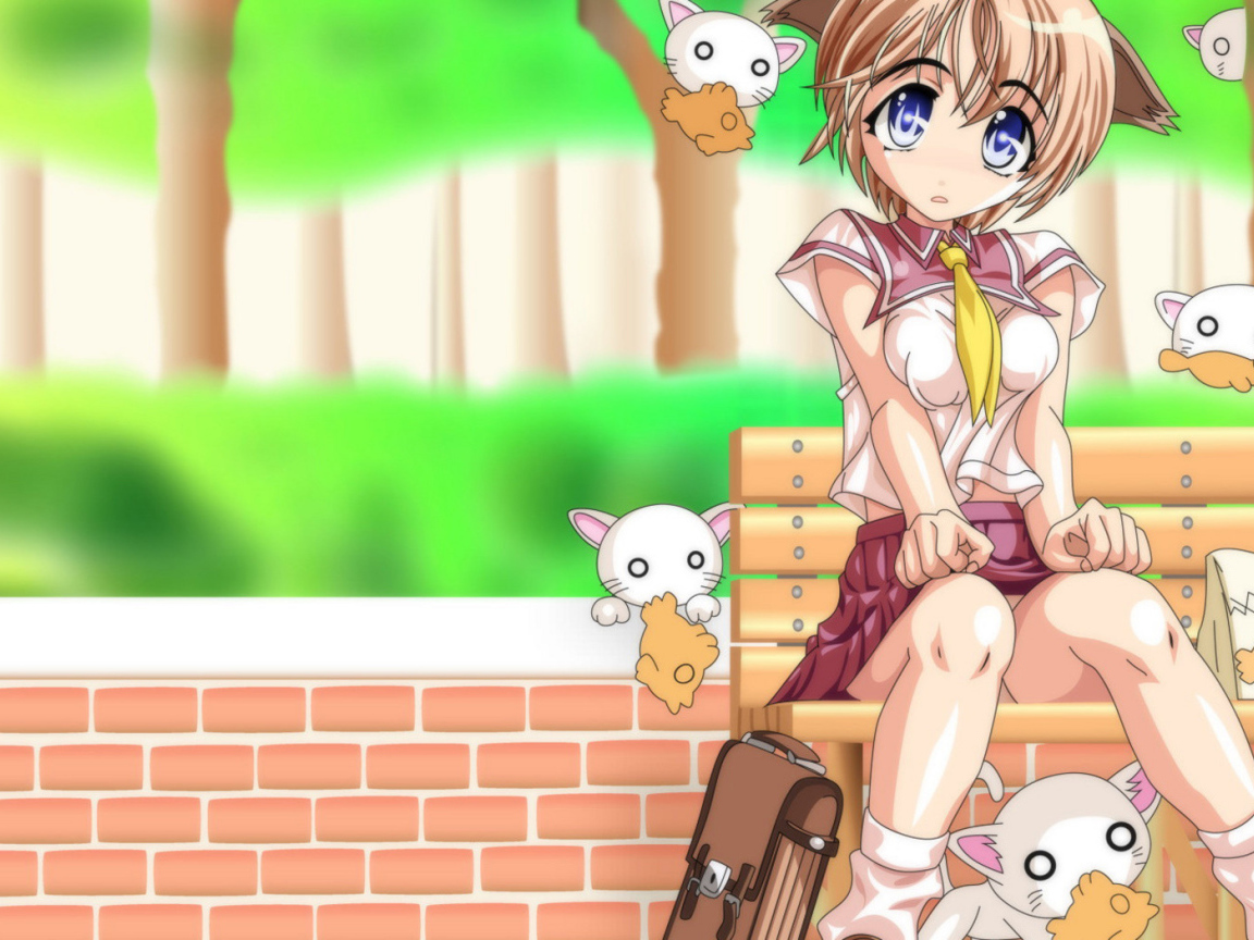 Девчонка и кошечки