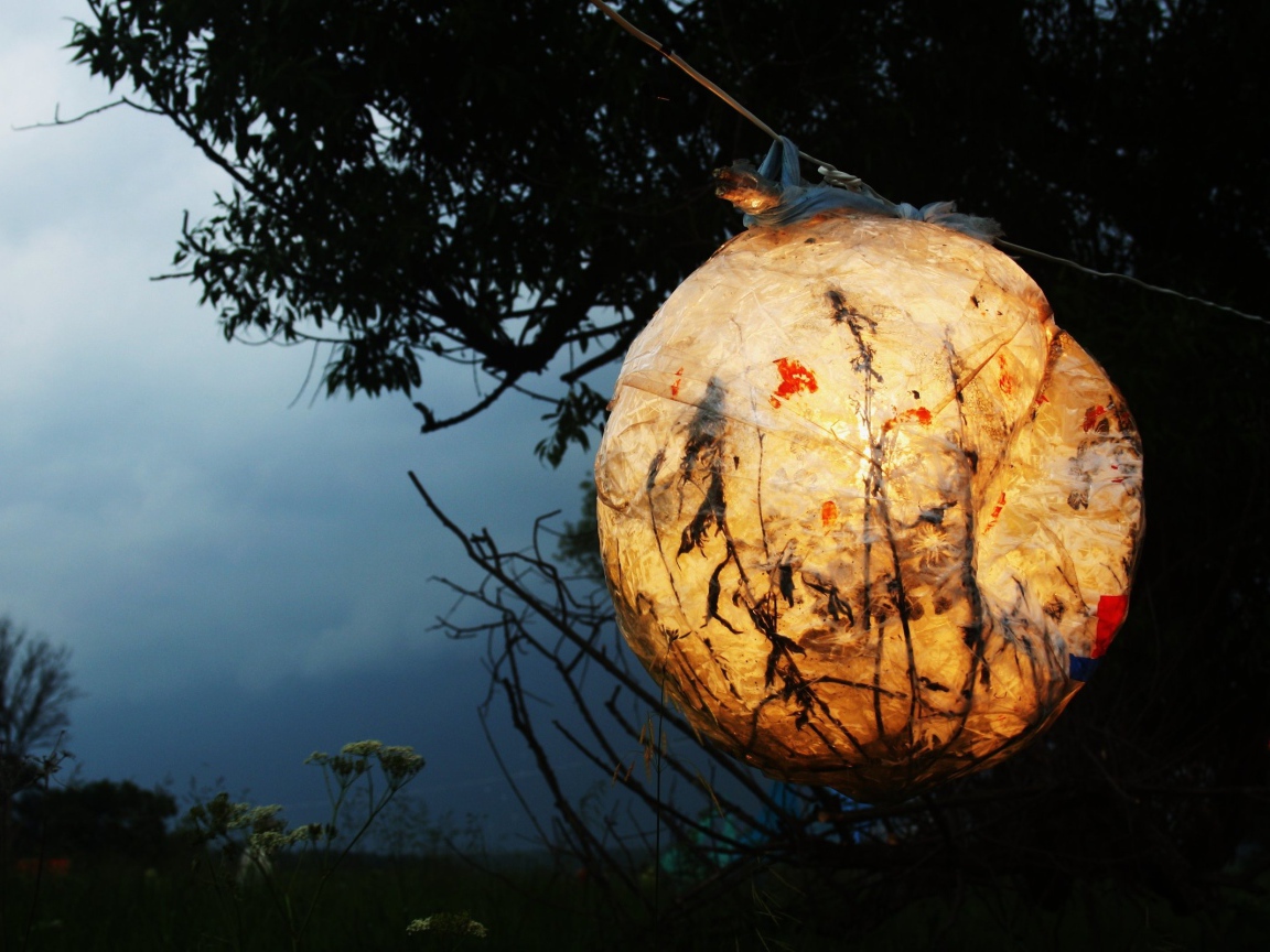 A lantern in the night