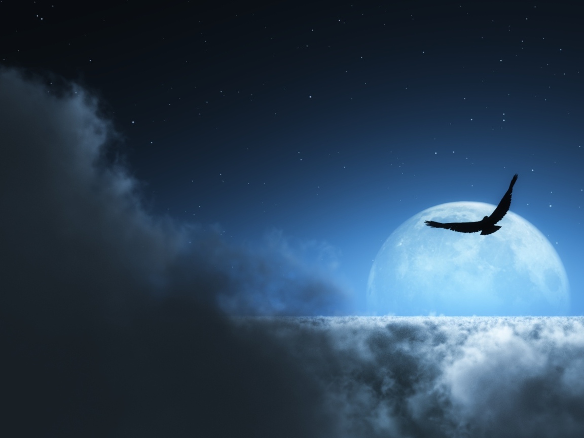 На фоне луны