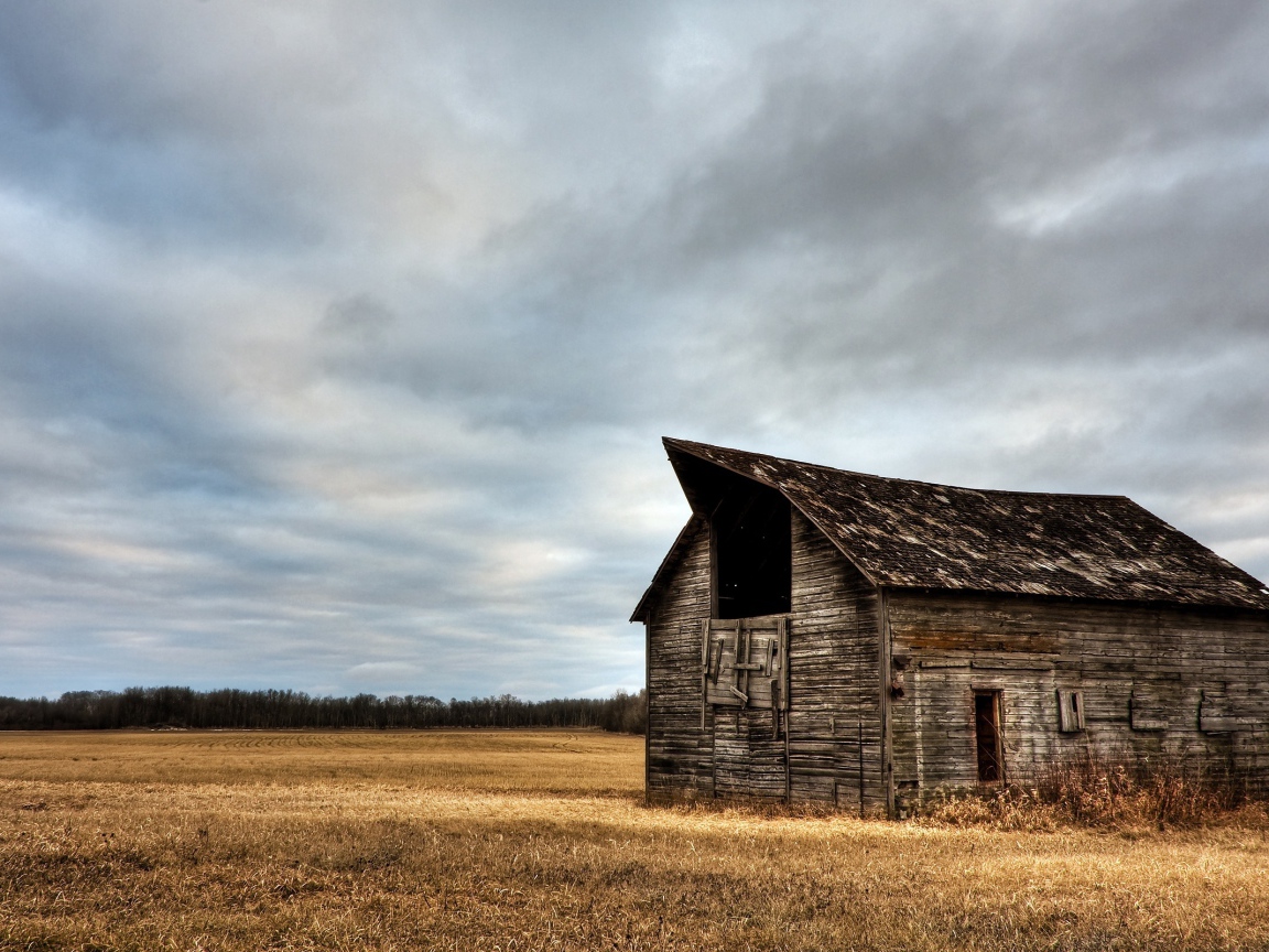 Сарай в поле