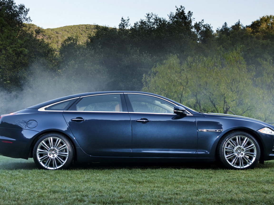 Ягуар XJ в лесу