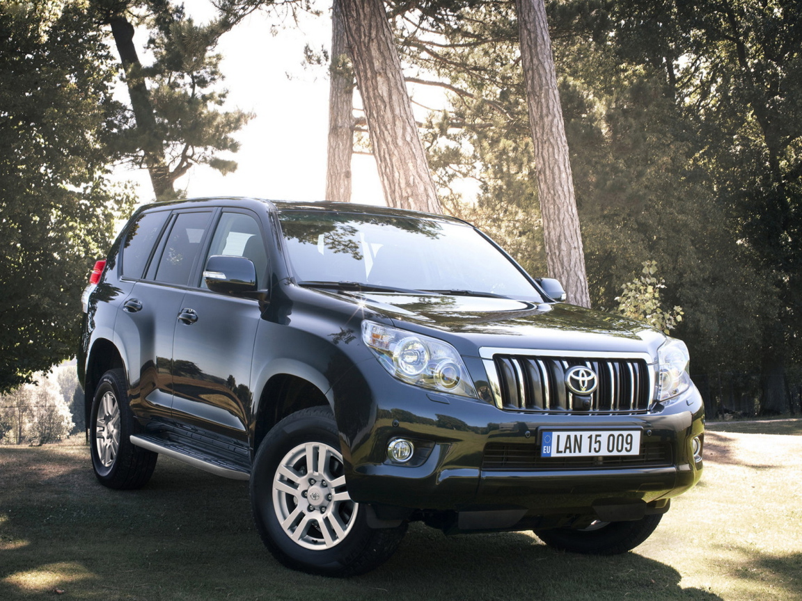 Тойота Лэнд Крузер в лесу