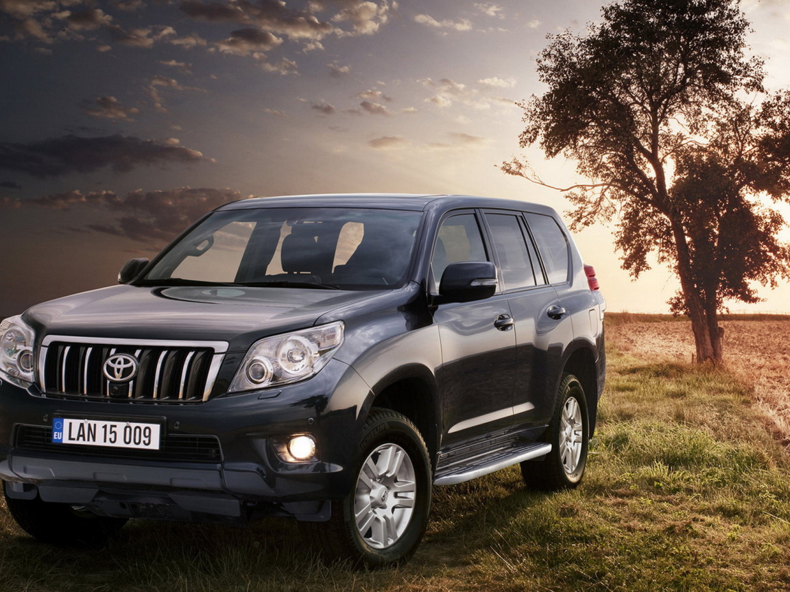 Toyota Land Cruiser возле дерева
