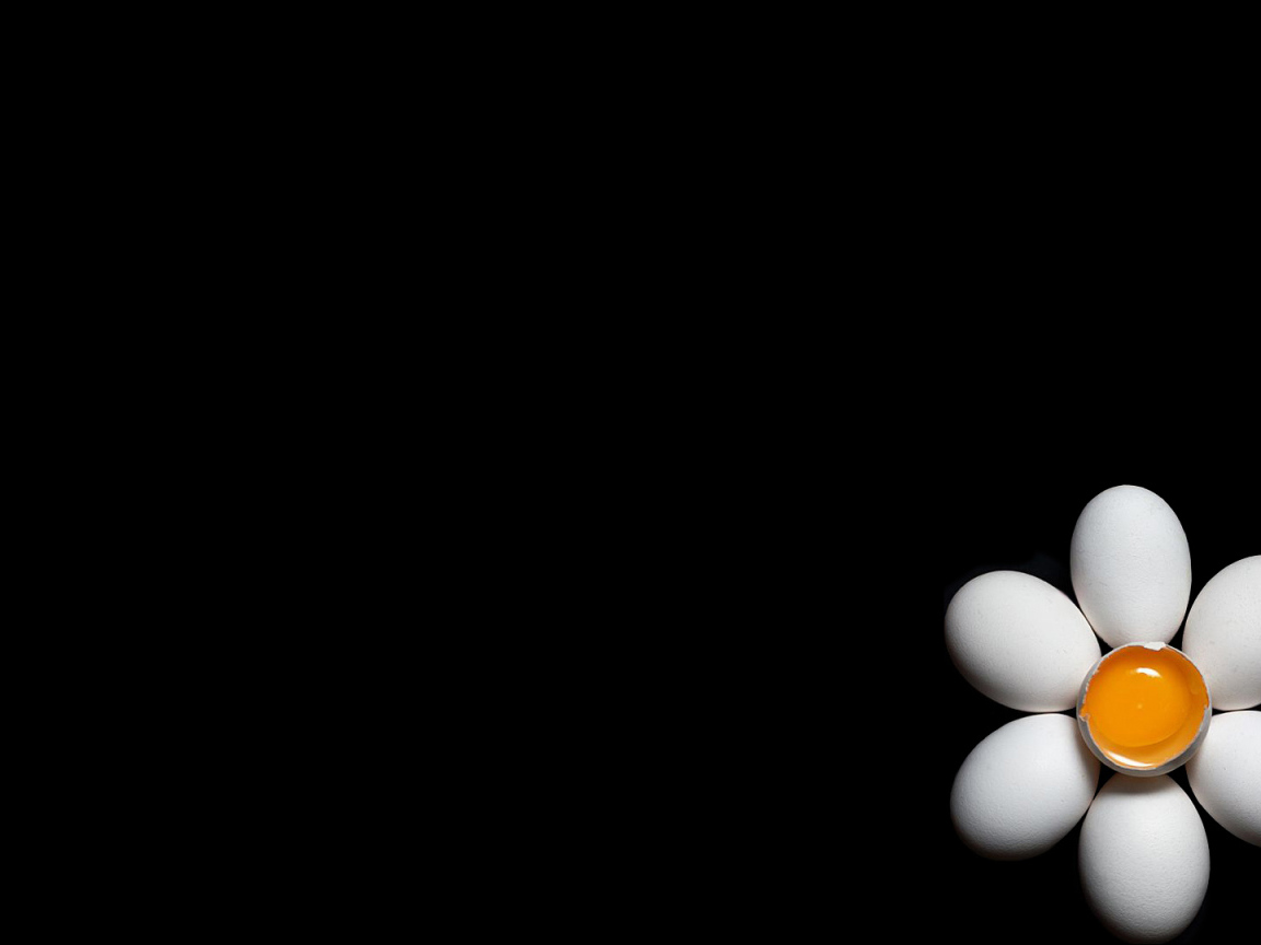 Ромашка из куриных яиц