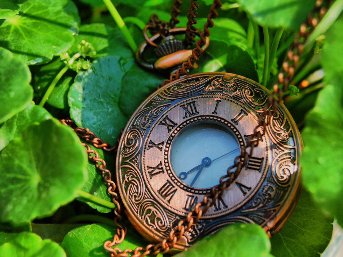 Карманные часы