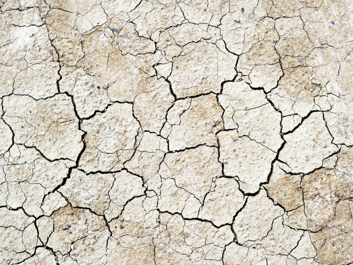 Земля выжженная солнцем