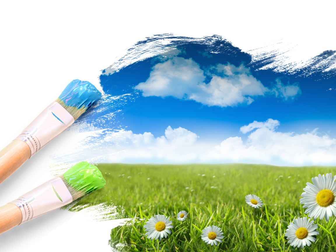 Полевые цветы