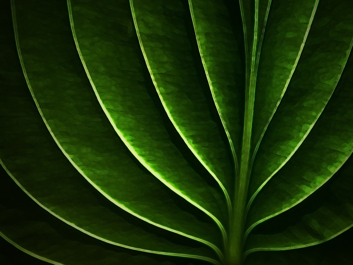 Неоновый листик