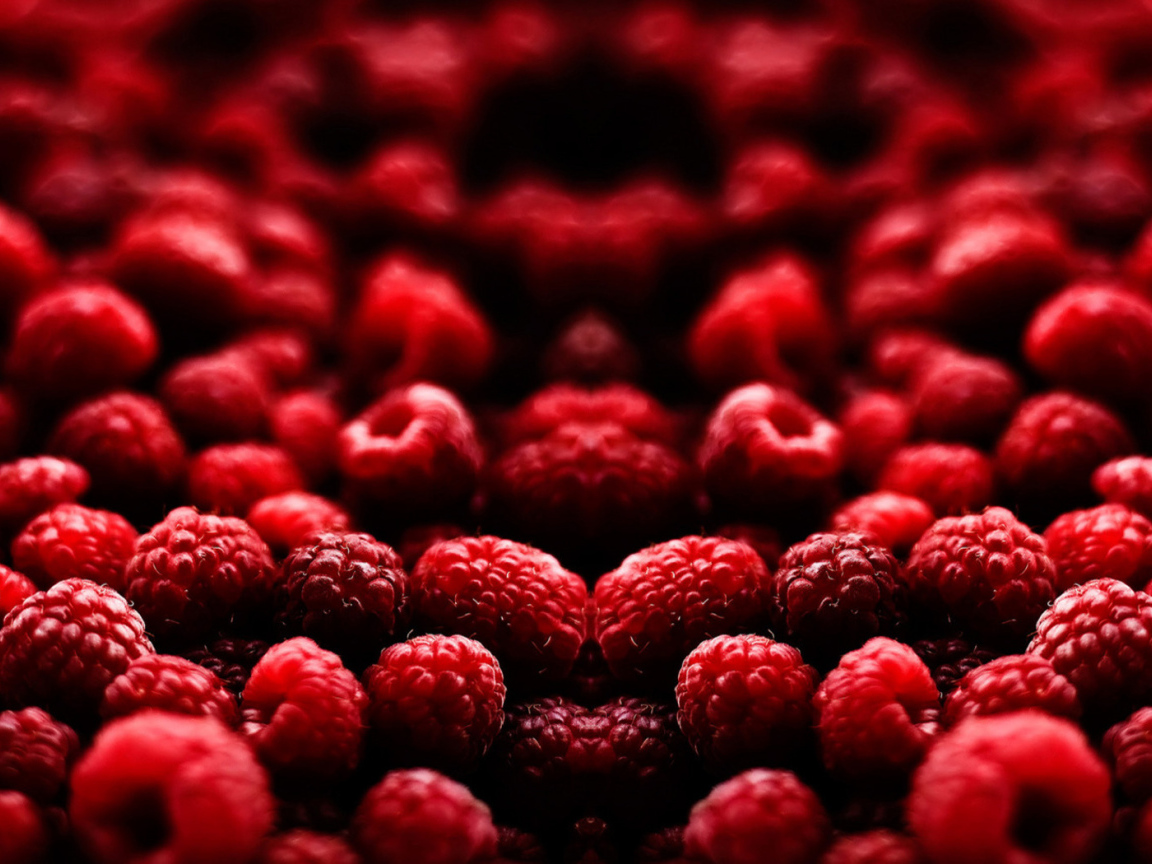 Малиновый рай