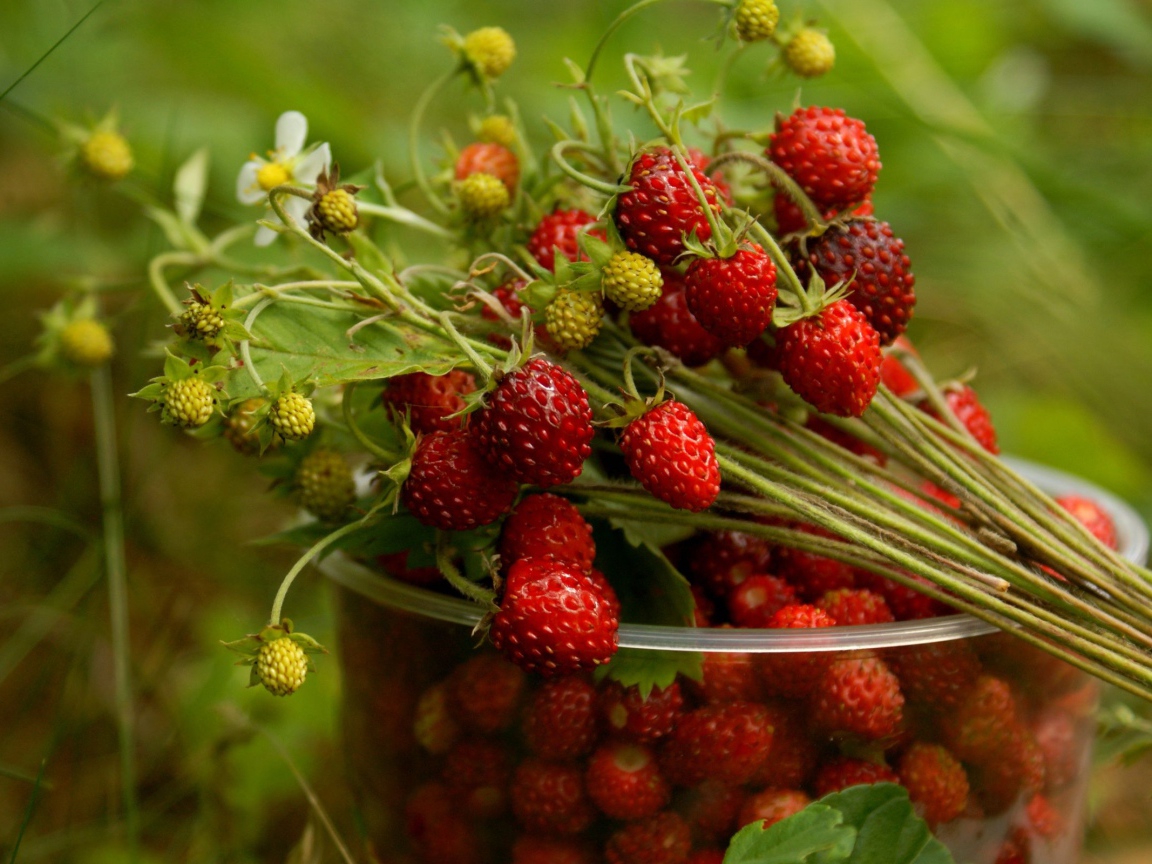 Стаканчик земляники