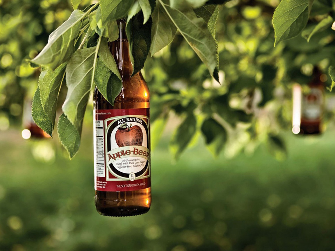 Яблочное пиво