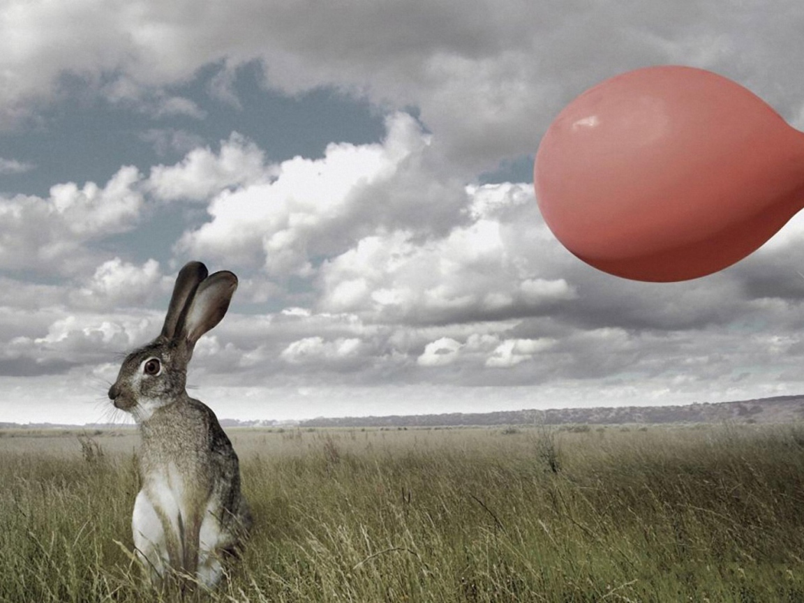 Мгновение до испуга