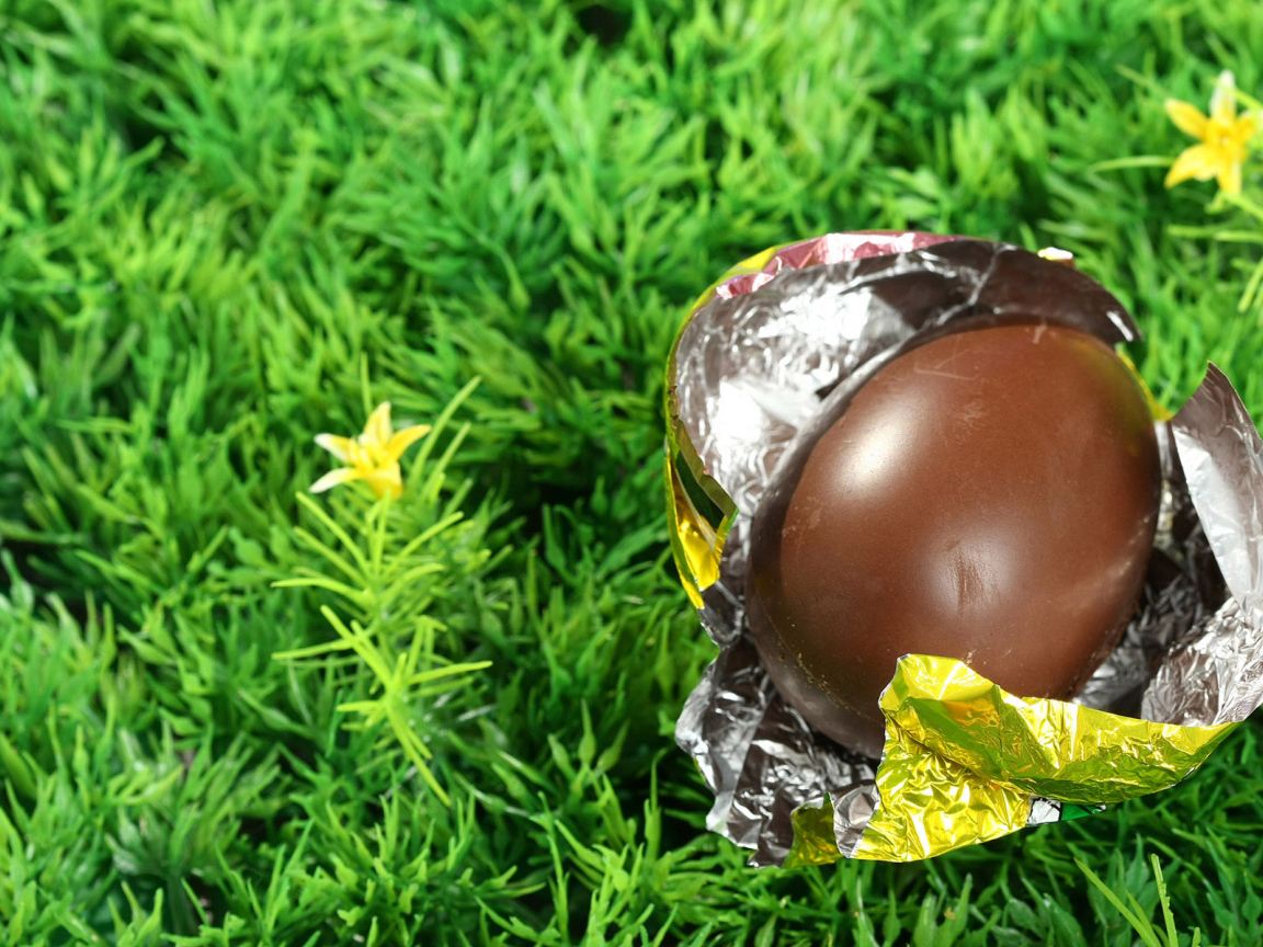 Шоколадное пасхальное яйцо