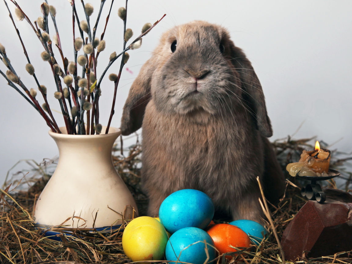Пасхальный кролик