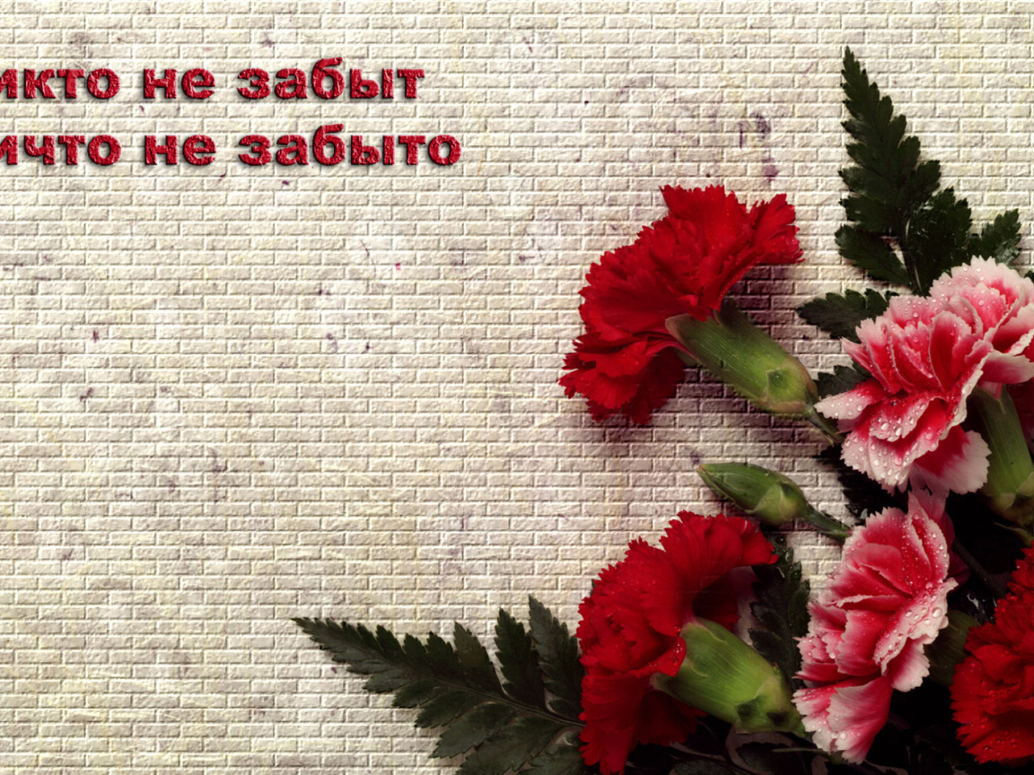 Ветеранам на 9 Мая