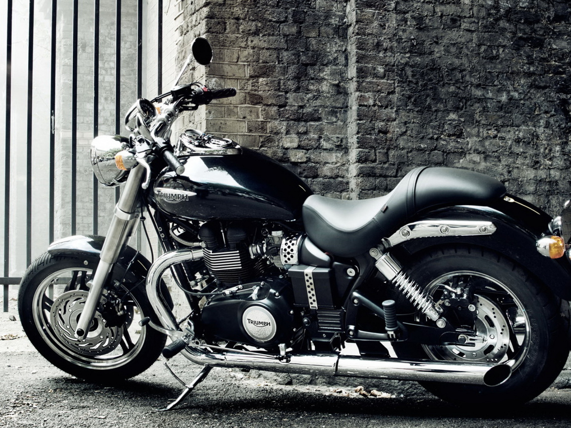 Triumph Speedmaster 2010