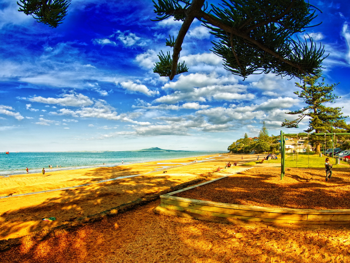 В тени деревьев