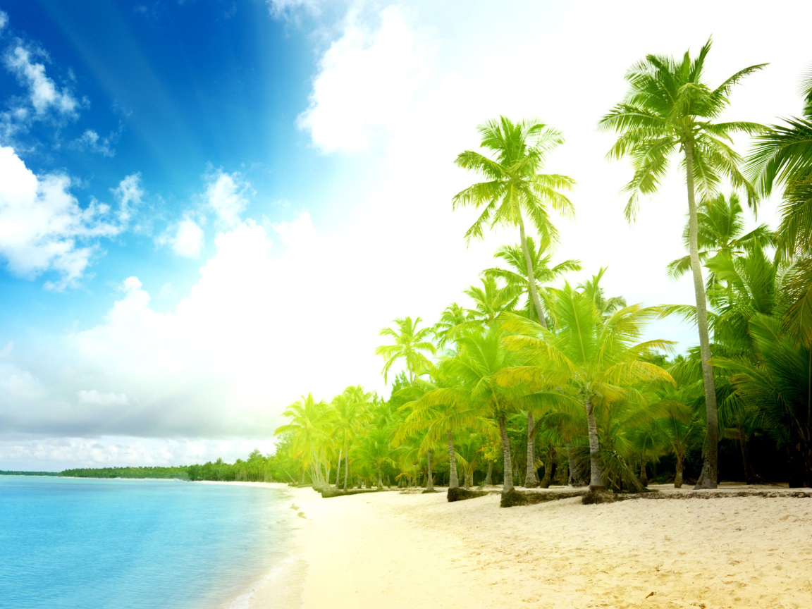 Пальмы на пляже