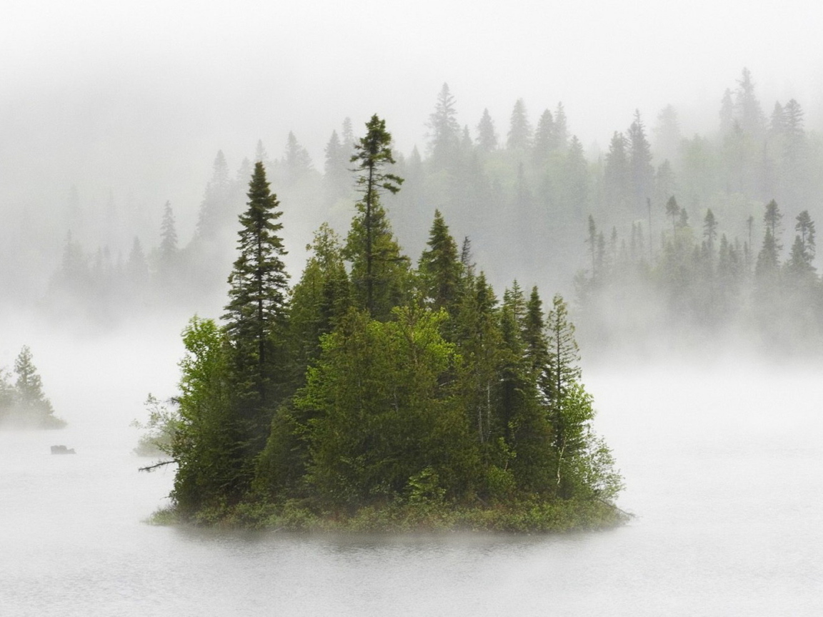 Туманные острова