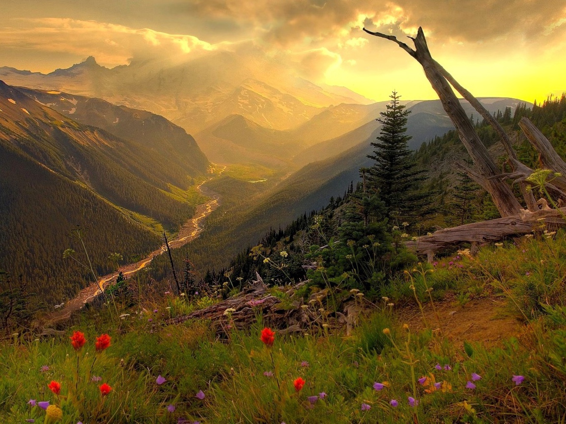 Горная долина