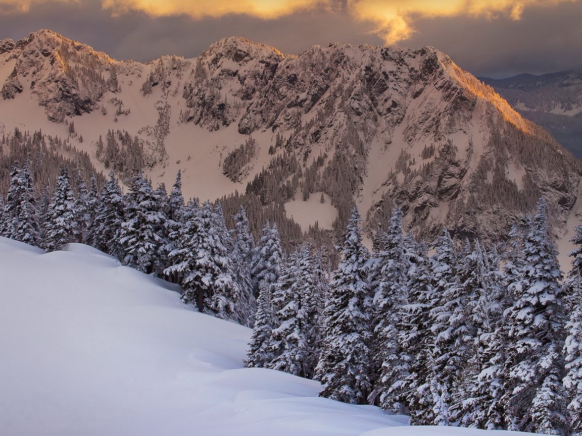 Горная свежесть