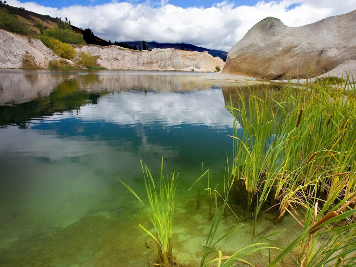 Зеленая вода
