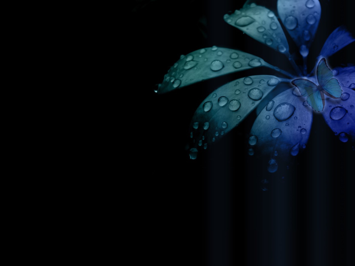 Бабочка на цветке