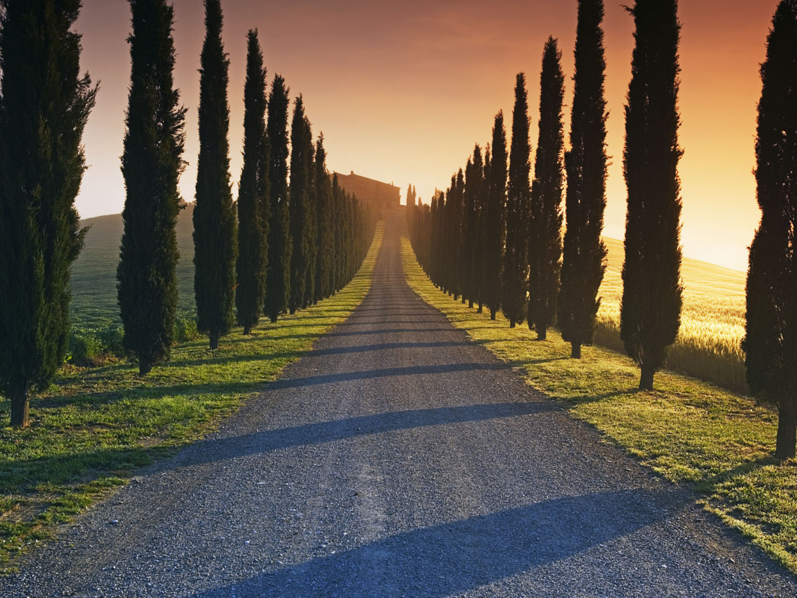 The road to the Italian estate