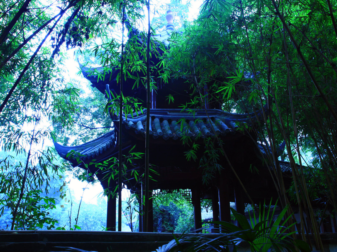 В японском саду