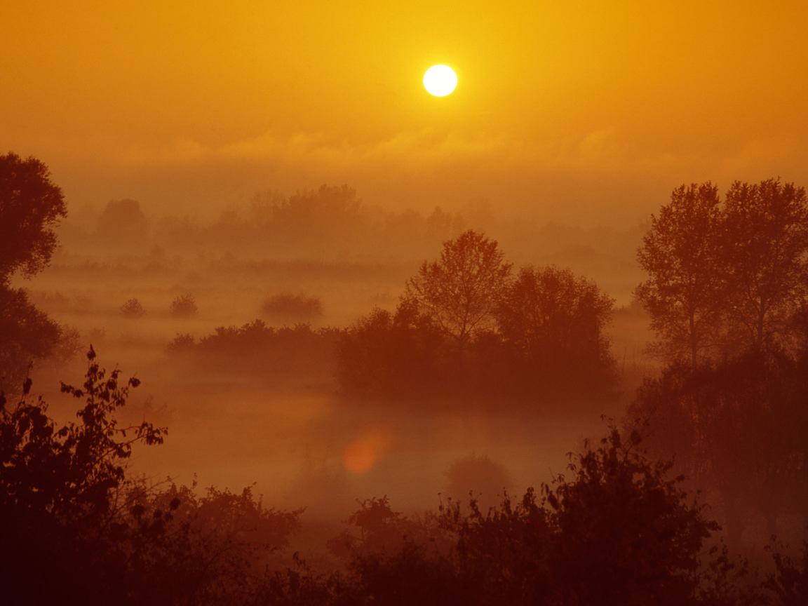 Туман на закате