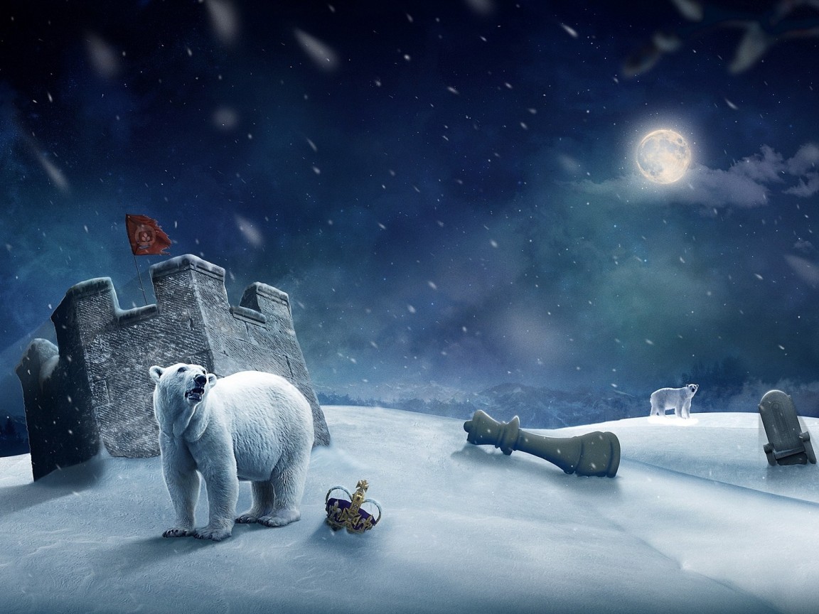 Белые медведи и шахматы