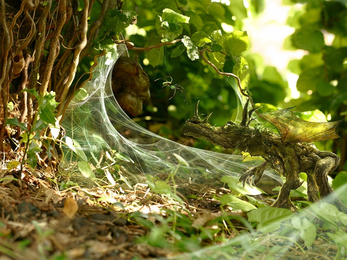 Маленький дракон