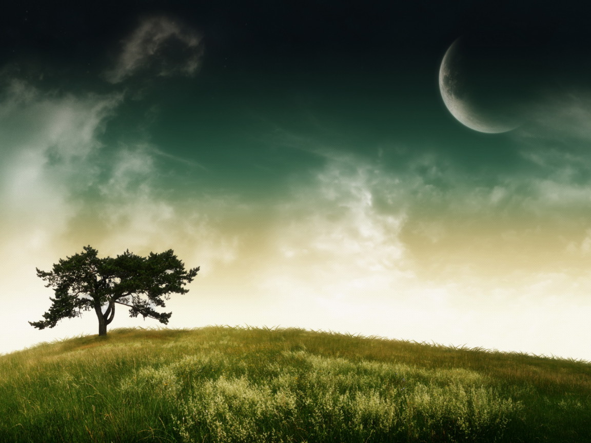 Дерево, небо, планета