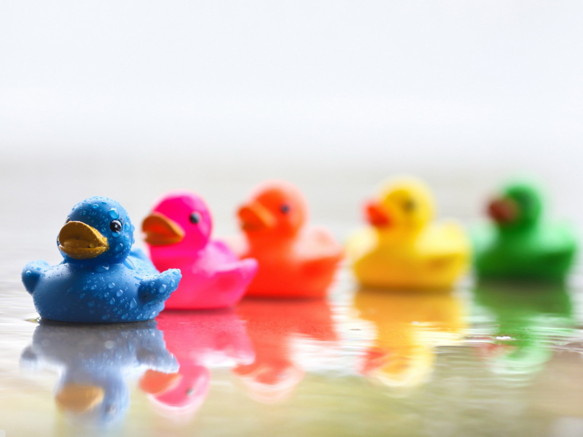 Цветные уточки