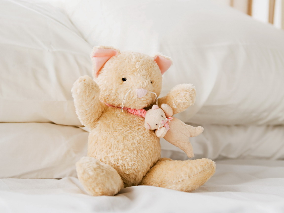 Плюшевые кошка и мышка