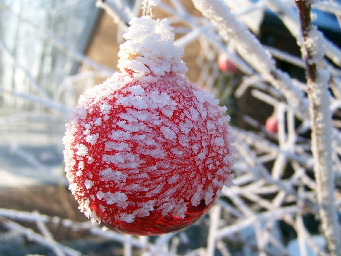 Оледеневший шар