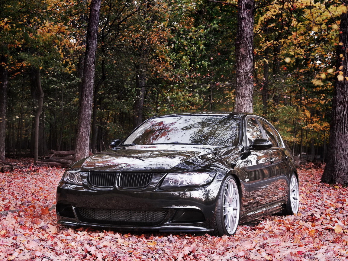 BMW 335i