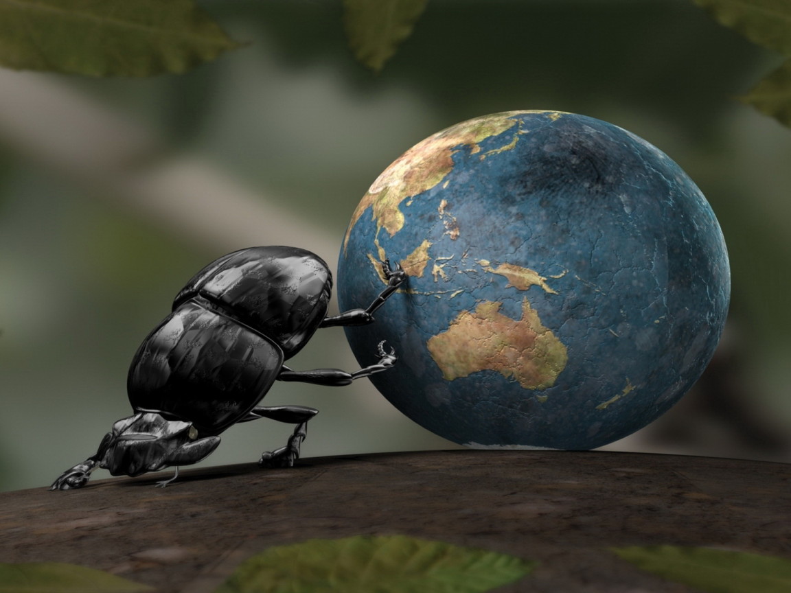 Жук навозник