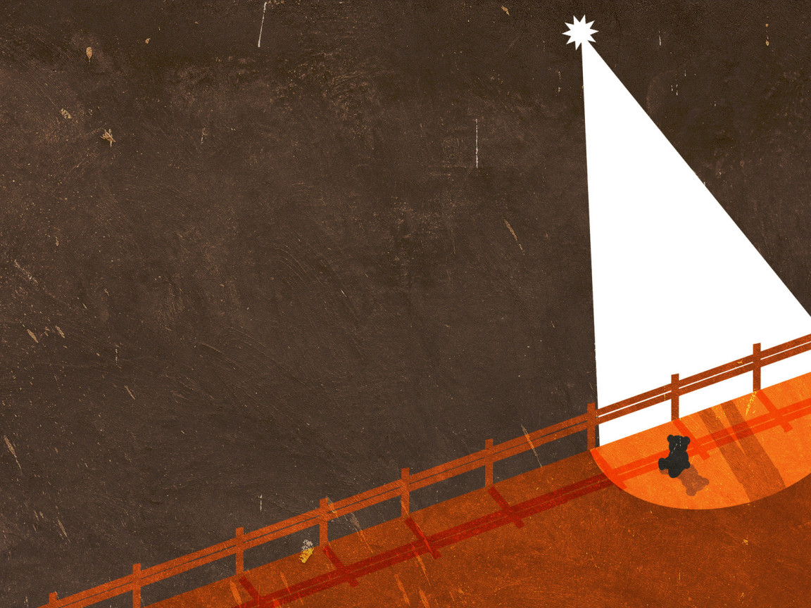 Медвежонок под звездным светом