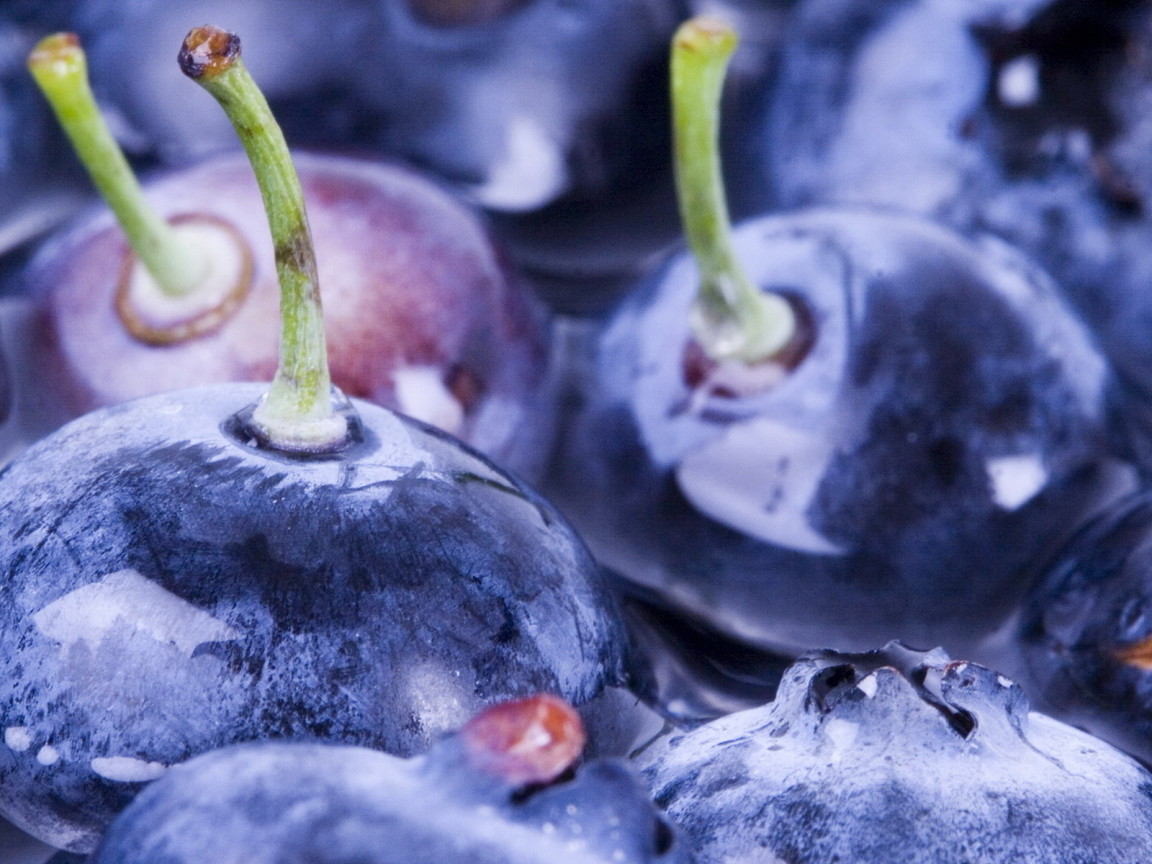 Ягоды черники