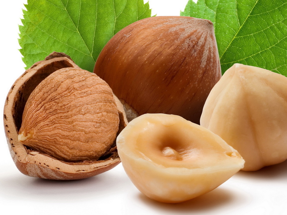 Лесные орехи