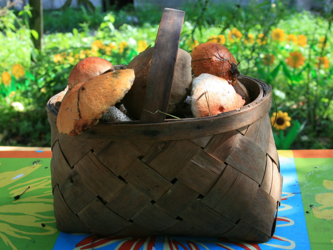 Корзина с грибами