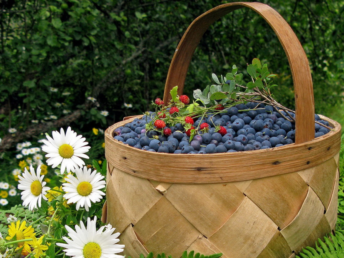 Корзина черники