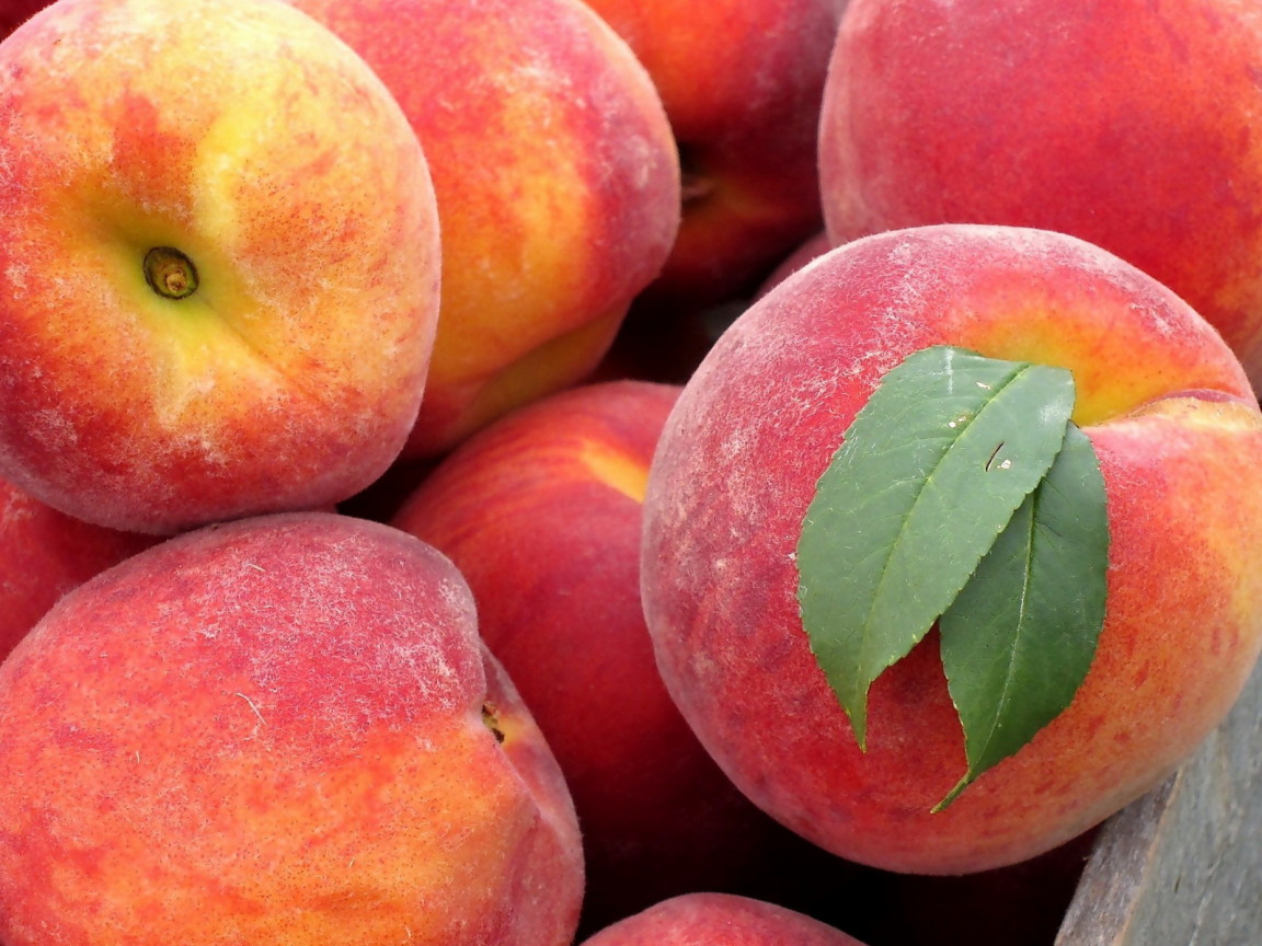 Сладкие персики