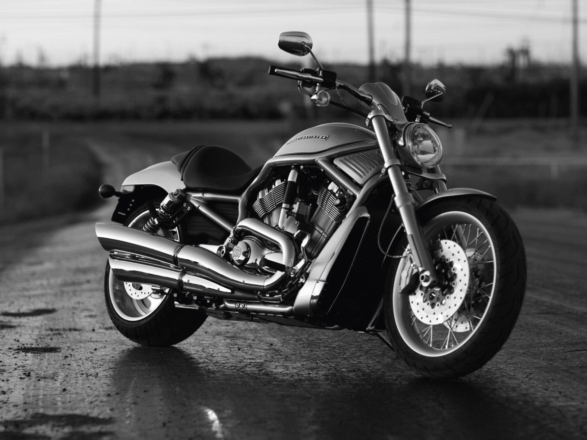 Harley Davidson  V-Rod