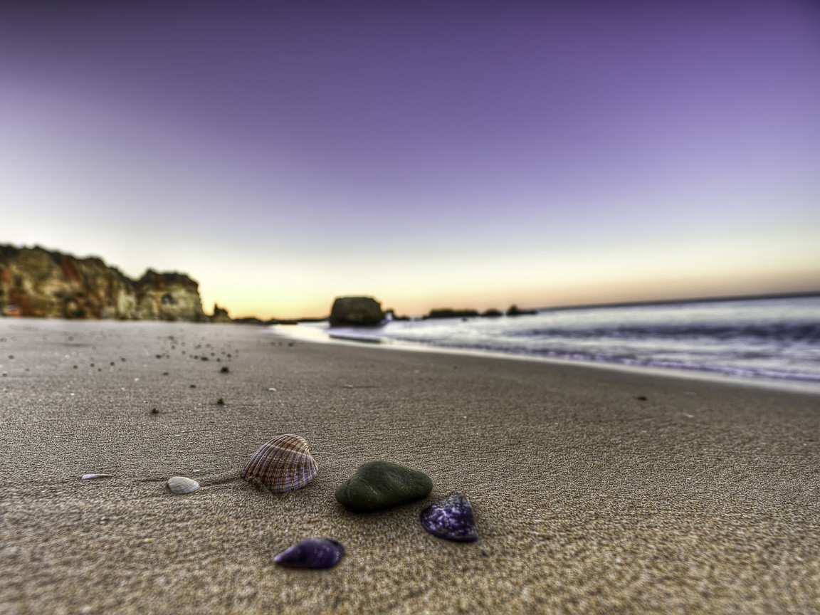 Ракушки на берегу