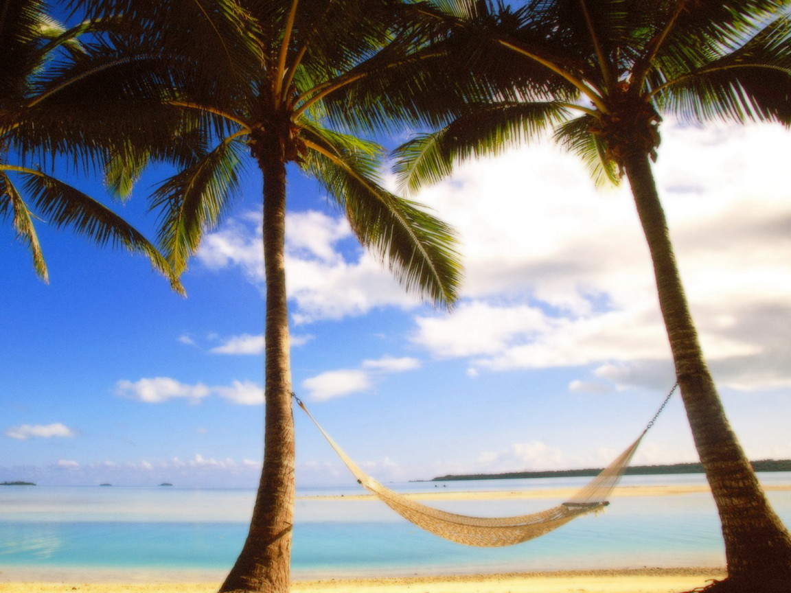 Пальмы на берегу